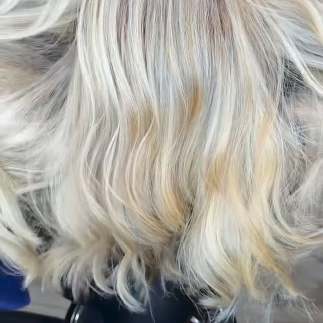 Hair color correction by Chateau D'Elegance